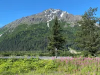 The Moose @ Exit Glacier Cabins - Chalets