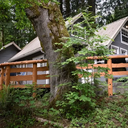 The Cornerstone Cabin - Mount Rainier