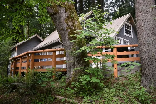 The Cornerstone Cabin - Mount Rainier - Alphydda