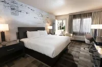 Silver Sevens Hotel & Casino - Servicios de Traslado