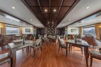 Erina Cruise by Hag - Cruises