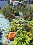 La Coutrotte Becquine - Homestays