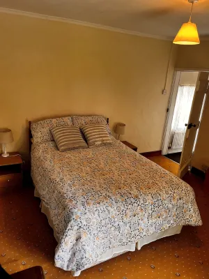 Peaceful, Cosy Cottage in the  Forest of Dean Overlooking Common Land. - Wifi