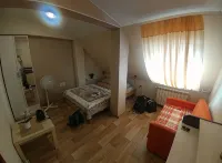 Hostel Green Point - Pet friendly