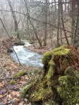 Remodeled Farmhouse 150 Acres - Minutes from Escatawha Farms Fly Fishing - Homestays
