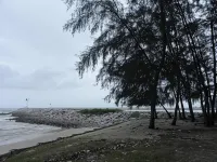 Arwana Inn - parking