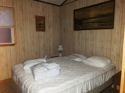 Cozy Cabin In The Woods Near Raystown Lake - Hytter