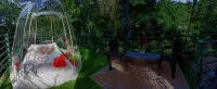 Hotel Boutique the Green Jungle House - Pet-friendly