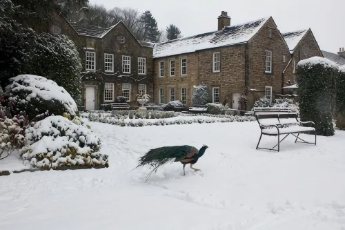 Cbh Whitley Hall Country House Hotel - parking