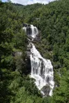 Secluded-Log Cabin-in town Cashiers-Pet Friendly - Wifi