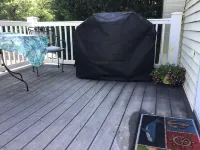 Cozy one bedroom-one bathroom /sleeps 4 - 2-Star