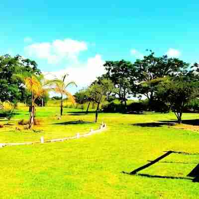 Limpopo Lodge Hotel Exterior
