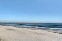 Luxurious Oceanside w/pool, elevator, 6 BR, steps from the sand and surf - Beach