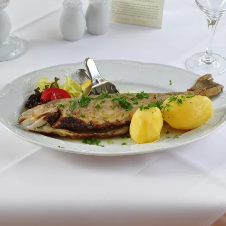 Ferienhotel Forelle Thale Ortsteil Treseburg