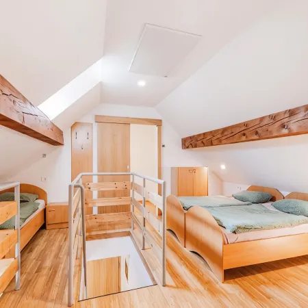 Apartments Skok with Rafting and Free Parking