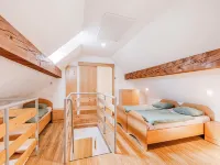 Apartments Skok with Rafting and Free Parking - Wifi