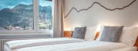 Hotel Merkur - West Station - Dağ Manzaralı