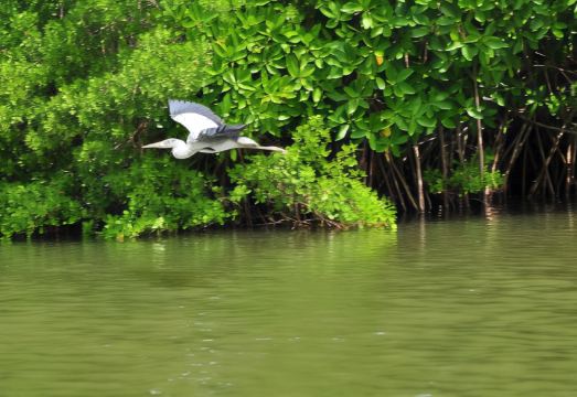 The Waves Beach Chalets Hotel Overview