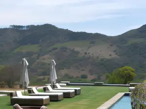 Dawsons Game Lodge