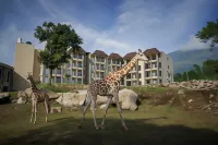 Baobab Safari Resort