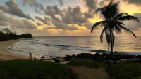 Emerald Luxe Suites Hotels in Isla del Maiz Pequena