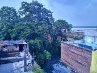 Bliss Guest House Assi Ghat - Bed and Breakfasts