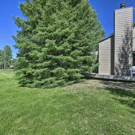 Pagosa Springs Condo Near Springs and Trails!