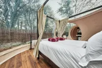 Cromore Retreat Hotels in Coleraine