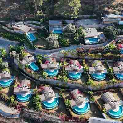 Seaview Faralya Hotel Exterior
