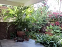 Casa Guadalupe - 1 minute from the beach! Blue Horizon Real Estate