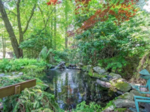 Badger's Den- Cozy Treetop Studio Hotels in Watauga