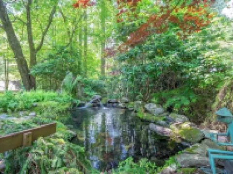 Badger's Den- Cozy Treetop Studio