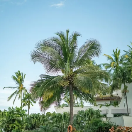 Kilua Beach Residences by CityBlue, Mombasa