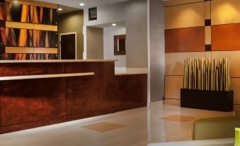 SpringHill Suites Dallas DFW Airport North/Grapevine
