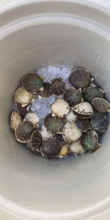 New Listing! King Bed/Ice Machine/Boat Parking