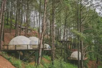 Lavender Dalat Hotel and Resorts