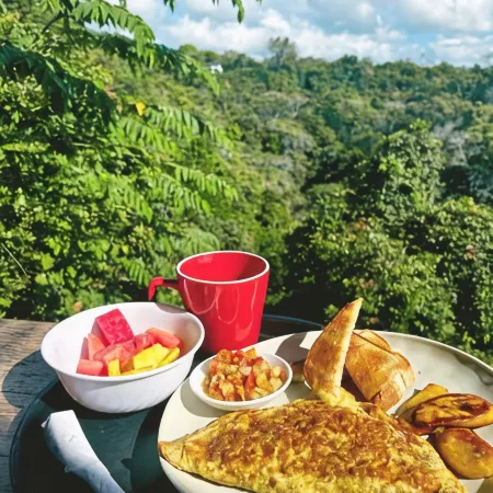 Sunshine Sanctuary Boutique Jungle Lodge
