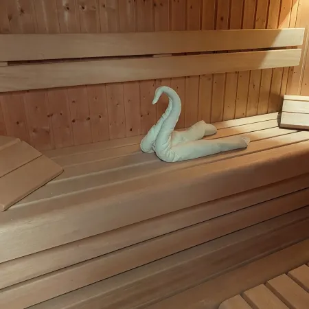 Luxurious house with winter garden, Finnish sauna, wood-burning stove Schnett-Masserberg