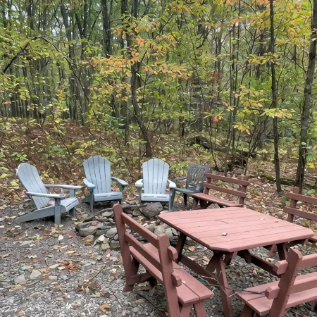 Rickett's Glen state Park!  Our cabin is only 1/2mile from the trail head.