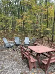 Rickett's Glen state Park!  Our cabin is only 1/2mile from the trail head.