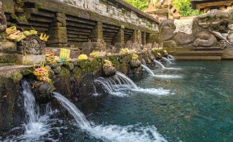 Sens Hotel  Spa + Conference Ubud Town Centre