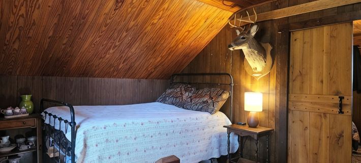 Historic pet friendly cabin with shooting range, and ATV trails on 80 acres. Hotels in Frederick County