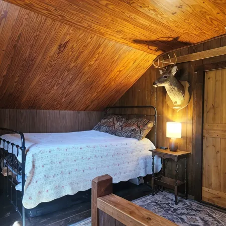 Historic pet friendly cabin with shooting range, and ATV trails on 80 acres.
