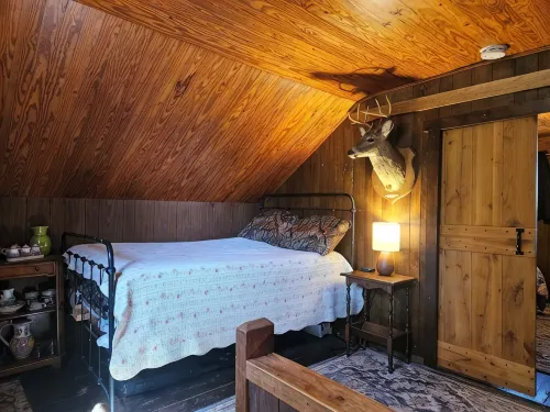 Historic pet friendly cabin with shooting range, and ATV trails on 80 acres.