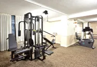 Holiday Inn ROANOKE-TANGLEWOOD-RT 419&I581 by IHG - Træningscentre