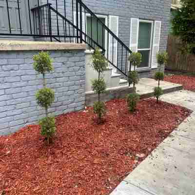 4bedroom house with upstairs outdoor patio,WiFi and in peaceful Woodlands area. Hotel Exterior
