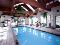 Detroit Metro Airport Marriott - Pools