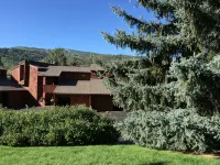 Don't Miss This One!  Gorgeous, Upscale Mountain Retreat