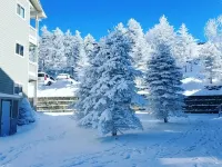 Across from Central Village/Slopes! AC 3BR MIDWEEK SPECIALS!!!  WIFI Hotels in Edray