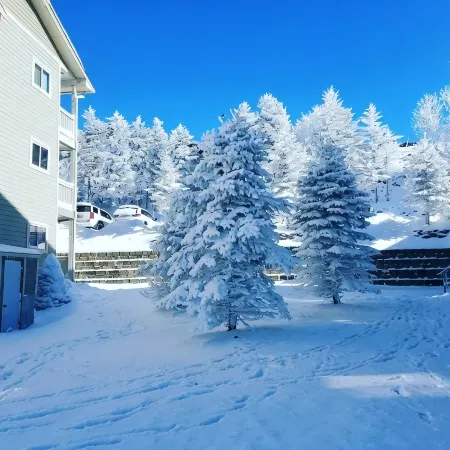 Across from Central Village/Slopes! AC 3BR MIDWEEK SPECIALS!!!  WIFI Отели в г. Эдрей